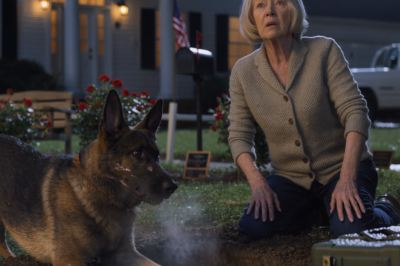 My son-in-law showed up at my Richmond house with a bandaged hand and a small urn, and he told me my dog was dead—said the dog attacked him, said he had “no choice,” said he did it for my safety. I believed him… until three nights later, at 2:00 a.m., I saw that same dog alive in my backyard, digging like he was trying to save my life.